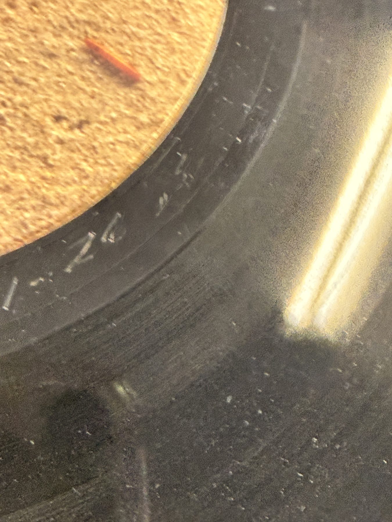 Photograph IMG_2066.jpg of pressing 111, US