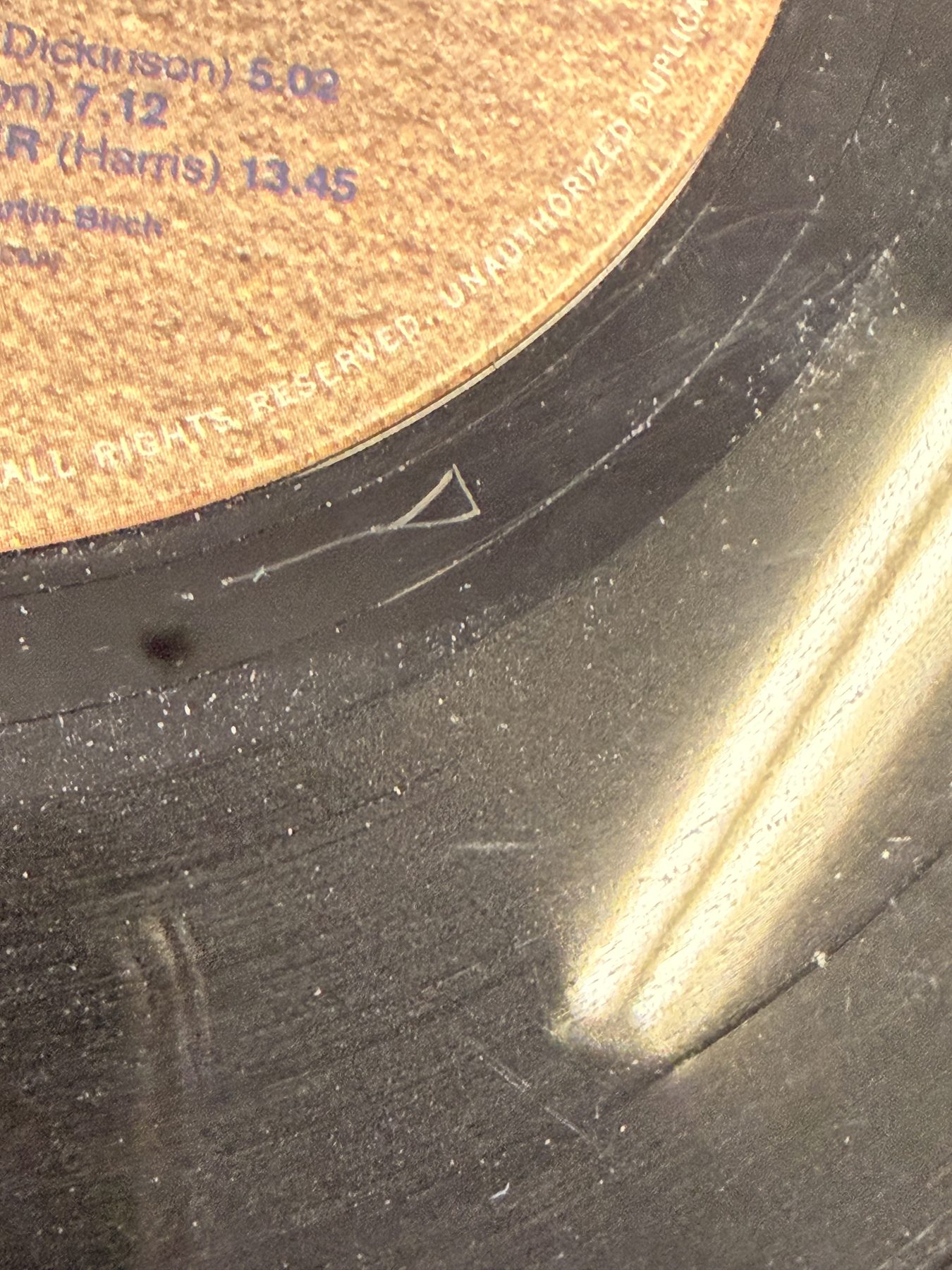 Photograph IMG_2073.jpg of pressing 111, US