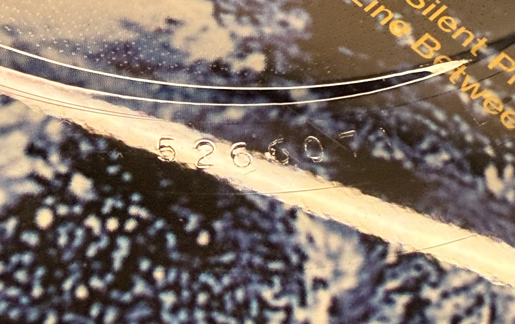 Photograph IMG_3543.jpg of pressing 167, UK & Europe