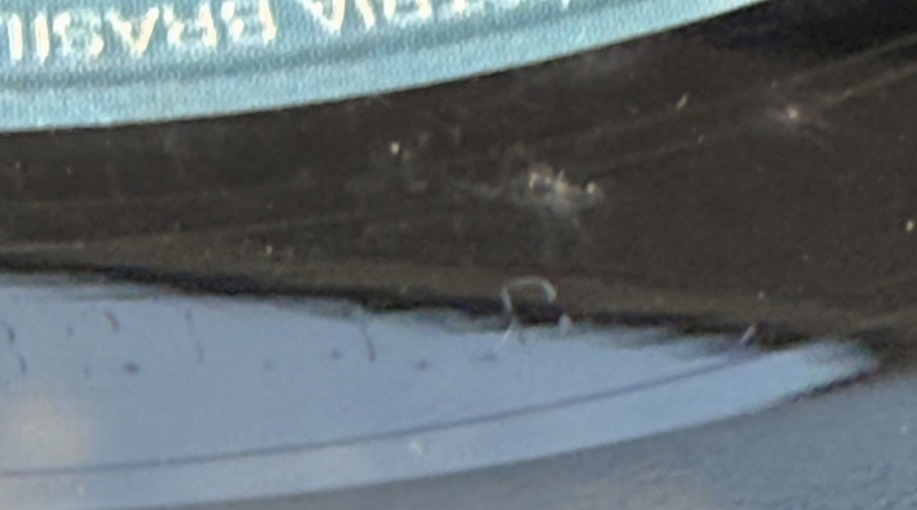 Photograph IMG_3602.jpg of pressing 168, Brazil