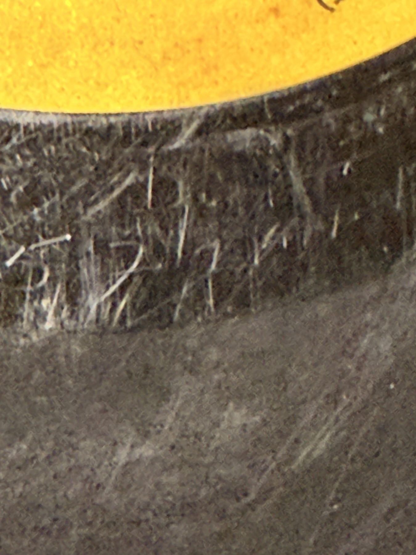 Photograph image00224.jpg of pressing 35, Ecuador